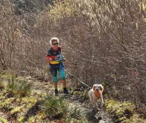 Canicross Torrecilla 