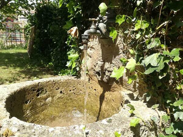 Fuente Paloma para refrescarse